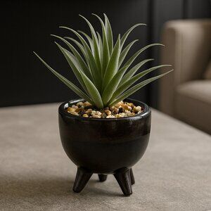 NWT Potted Faux Succulent Plant